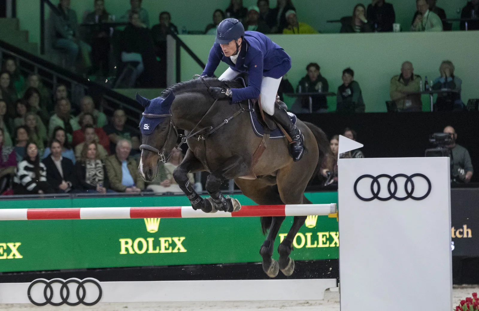 audi dutch masters hoofdsponsor paardensport den bosch detail 1